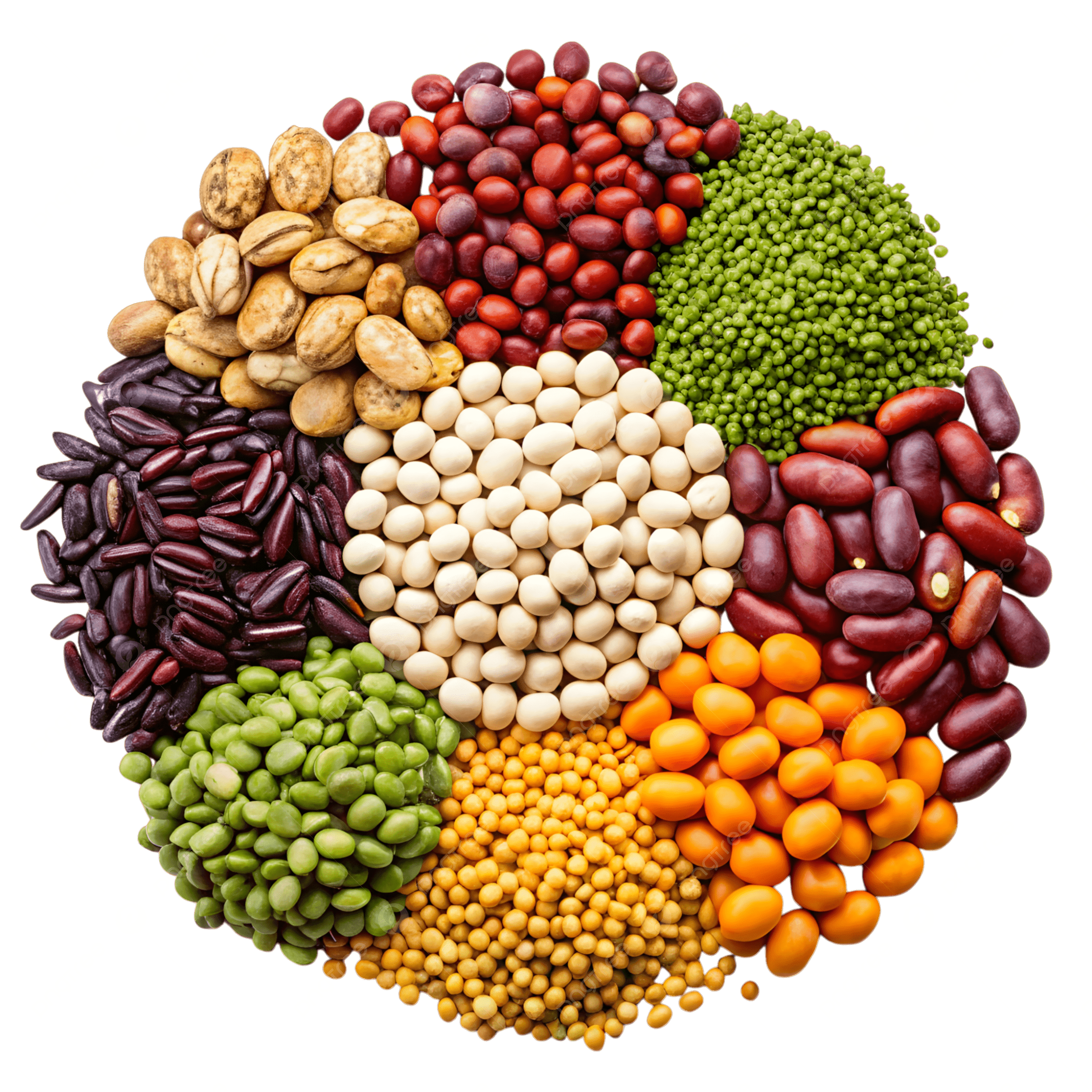 مواد تموينية